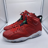 Jordan 6 History of Jordan (Spiz'ike) - size 11