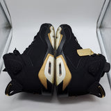 Jordan 6 DMP - size 10