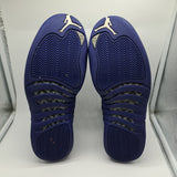 Jordan 12 Deep Royal Blue - size 10