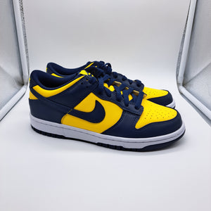 Nike Dunk Low Michigan - size 7y