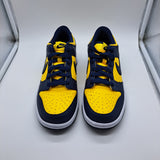 Nike Dunk Low Michigan - size 7y