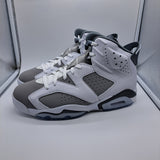 Jordan 6 Cool Grey - size 10.5