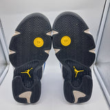 Jordan 14 Laney - size 8.5