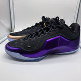 Nike LeBron 23 The Chosen One and the One Who Chose - size 11.5