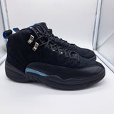 Jordan 12 Nubuck (2009) - size 9.5