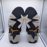 Jordan 6 DMP - size 11.5