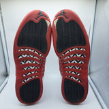Jordan 12 Cherry - size 14