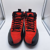 Jordan 12 Reverse Flu Game - size 8.5