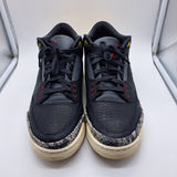 Jordan 3 Animal Instinct - size 9