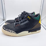 Jordan 3 Animal Instinct - size 9