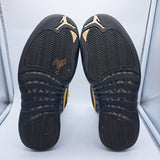 Jordan 12 Royalty Taxi - size 9