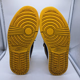 Jordan 1 Pollen - size 9.5