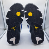 Jordan 14 Laney - size 9