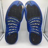 Jordan 12 Blueberry - size 13